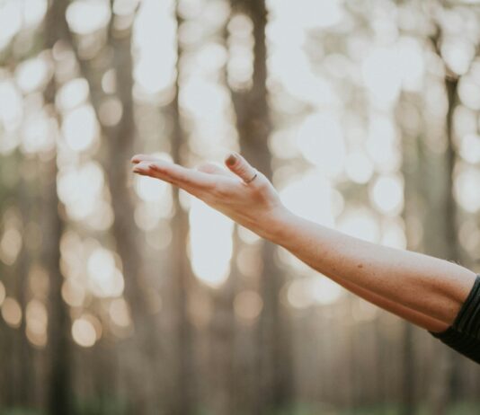 웰니스 문화, 일상 속 작은 습관이 만드는 건강 혁명 tilt shift lens photography of person lifting hand