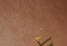 일상 속 대체요법, 자연스러운 치유로 건강을 찾다 a bunch of flowers sitting on top of a table