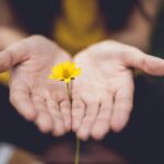 현대인의 건강을 위한 ‘마음 챙기기’ 루틴, 일상 속 작은 변화로 시작하세요 selective focus photography of woman holding yellow petaled flowers