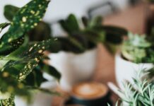 현대인의 건강 고민, “마이크로 워크아웃”으로 틈새 운동 실천법 인기 shallow focus photography of coffee late in mug on table