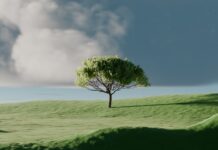 생활 속 ‘마음 챙김’ 실천, 바쁜 일상에도 가능한 건강 습관 A single tree on a vibrant green rolling hill.